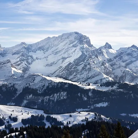 Apartment Le Bristol A54 By Interhome *