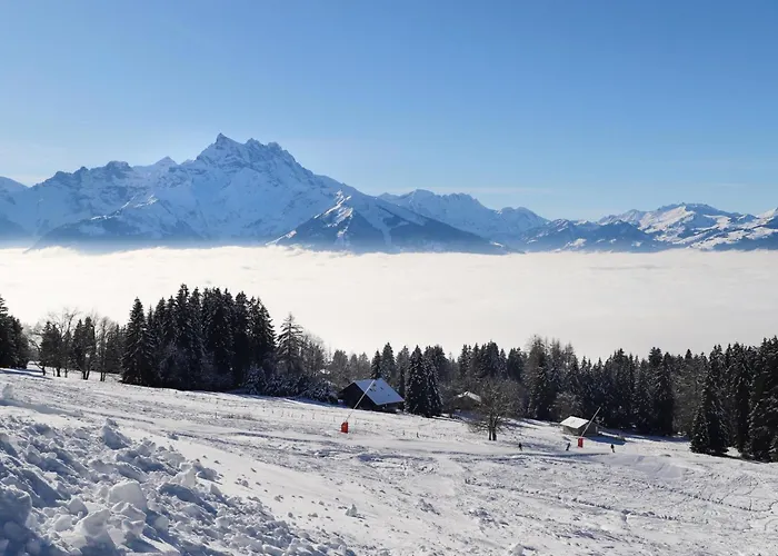 Le Bristol A54 By Interhome * Villars-sur-Ollon