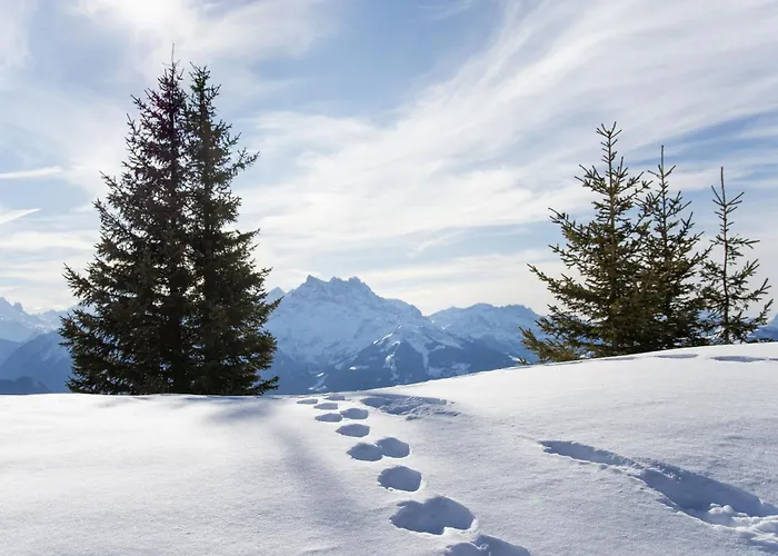 Le Bristol A54 By Interhome Apartment Villars-sur-Ollon