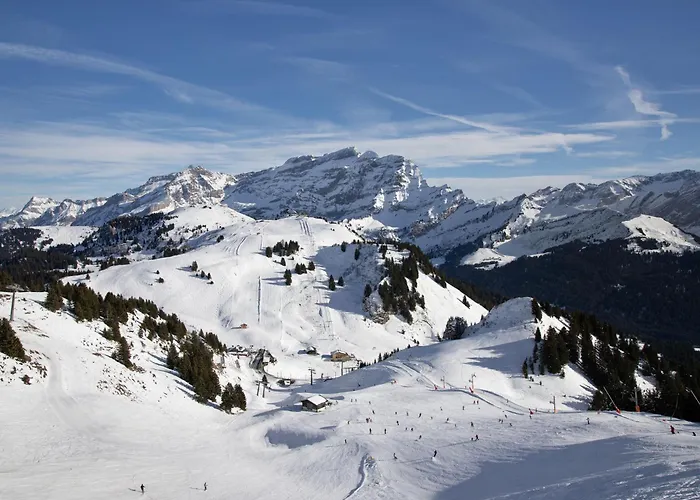 Le Bristol A54 By Interhome